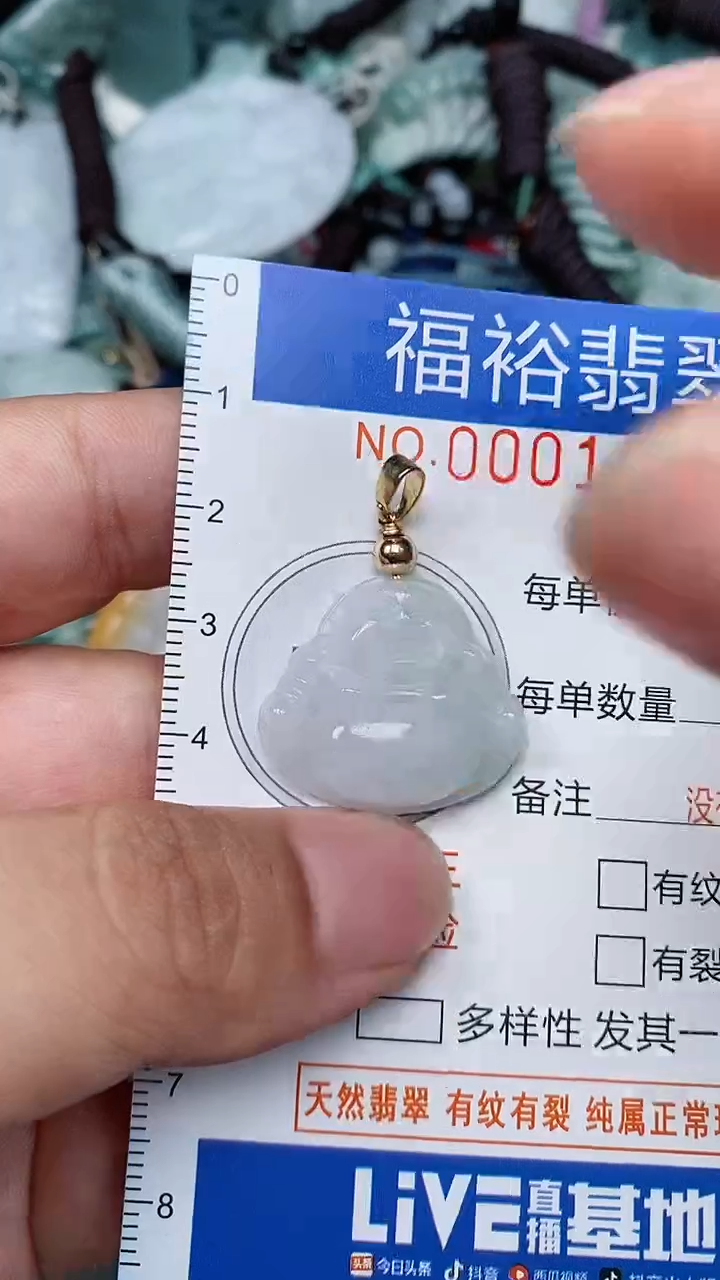 翡翠未镶嵌颈饰...0001683