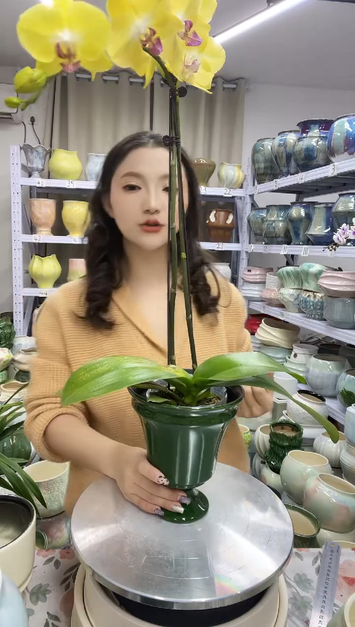 【12.4号】  花盆  高 ：   17 口：15