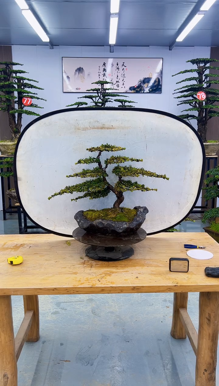 以实际为准00000