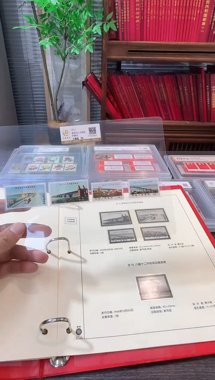 文14 封装评级鉴定收藏