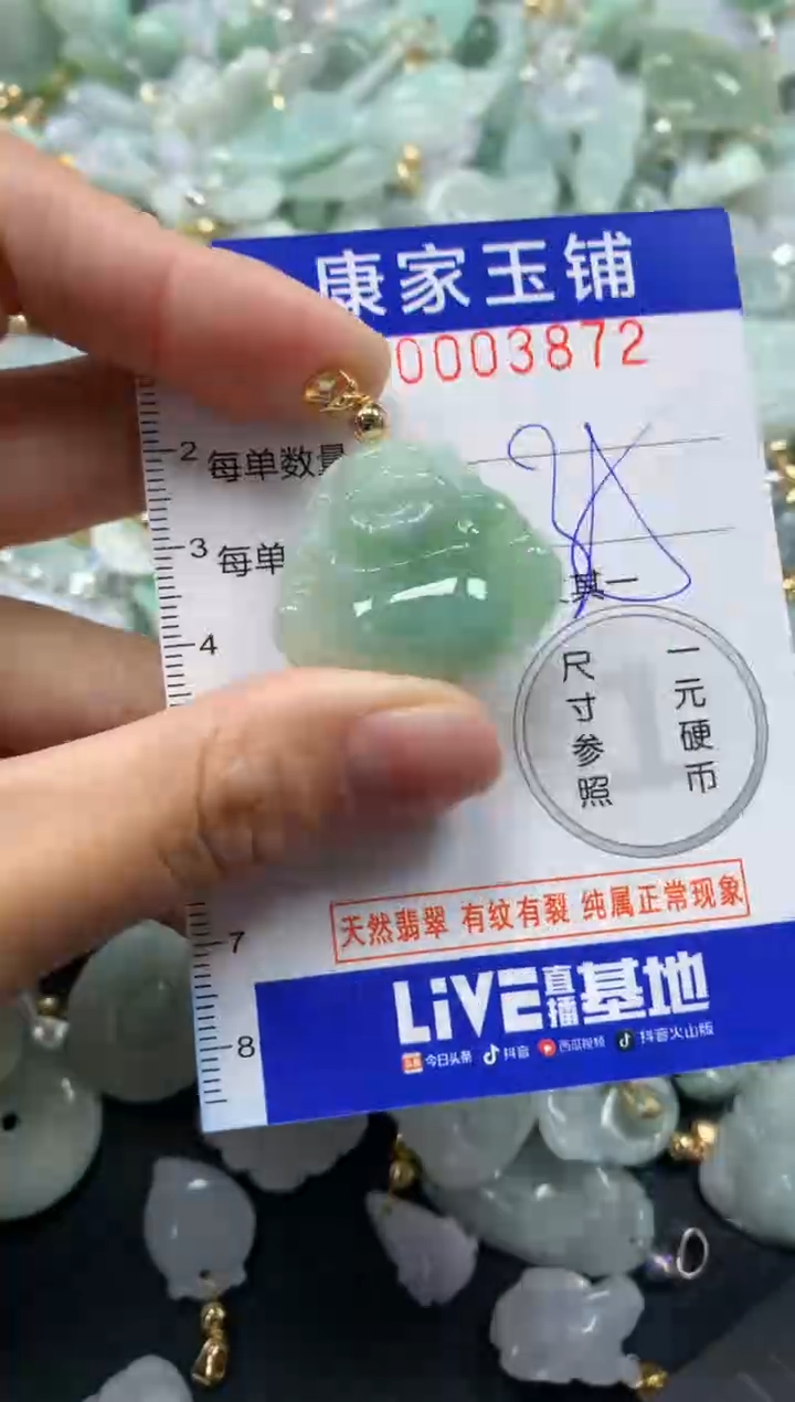 颈饰未镶嵌翡翠3872