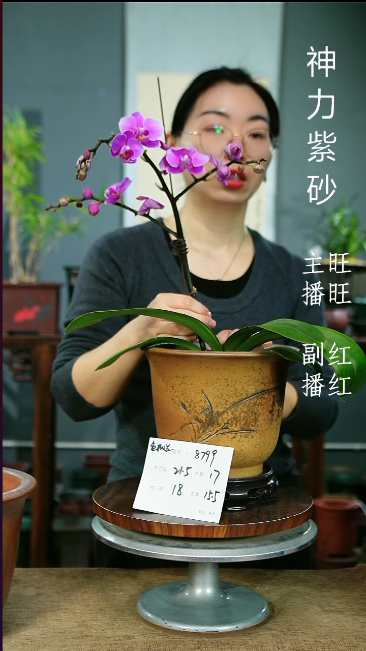 紫砂花盆8799+S紫砂花盆紫砂