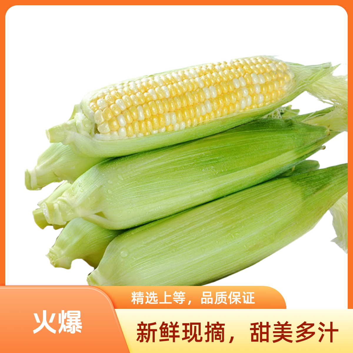 零一玉米330-380g/根