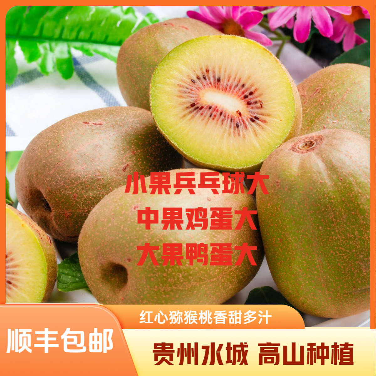 60枚贵州水城红心猕猴桃奇异果高山种植直发新鲜水果包邮香甜多汁