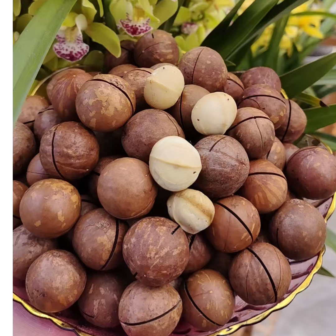 新货精选大号特大颗粒夏威夷果奶香味原味香酥脆坚果零食送开口器