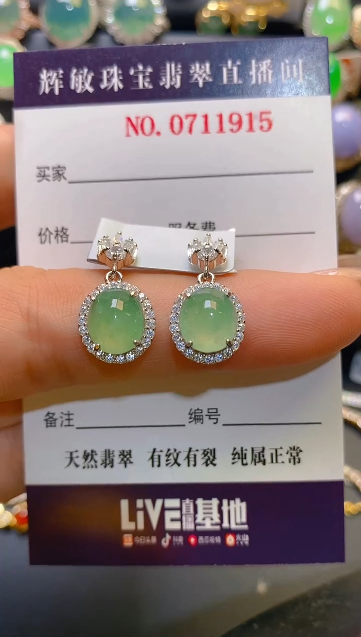 【闪购商品】翡翠耳饰银S925镶嵌天然A货翡翠1
