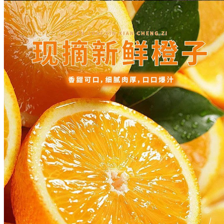 【正宗赣州老树】现摘水果正赣南寻乌精品脐橙新鲜手剥酸甜多汁水果