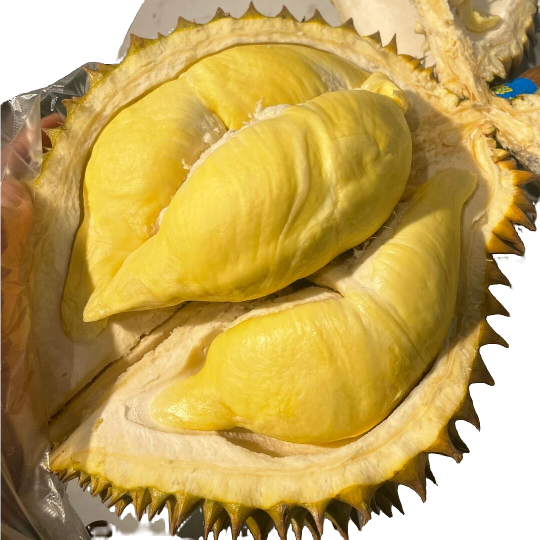 【浦东 官补】泰国新鲜树熟AA金枕榴莲核小现开榴莲肉一盆750g金枕泰国