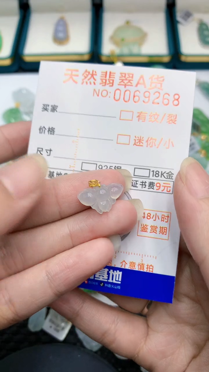 【闪购商品】翡翠颈饰18K金镶嵌            8