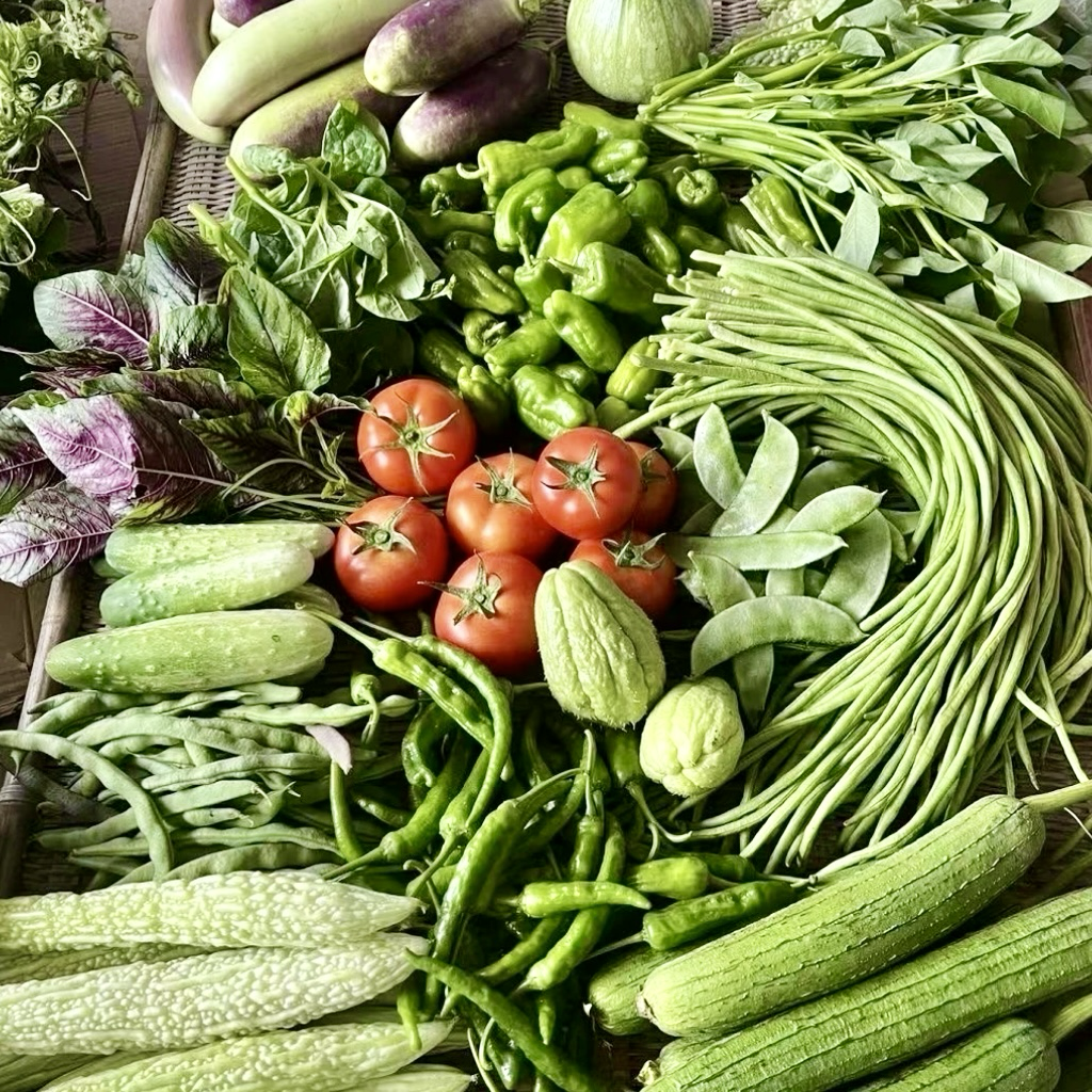 【农家蔬菜】辣椒 胡萝卜 洋姜 茄子 白菜苔 红菜苔 农家蔬菜 