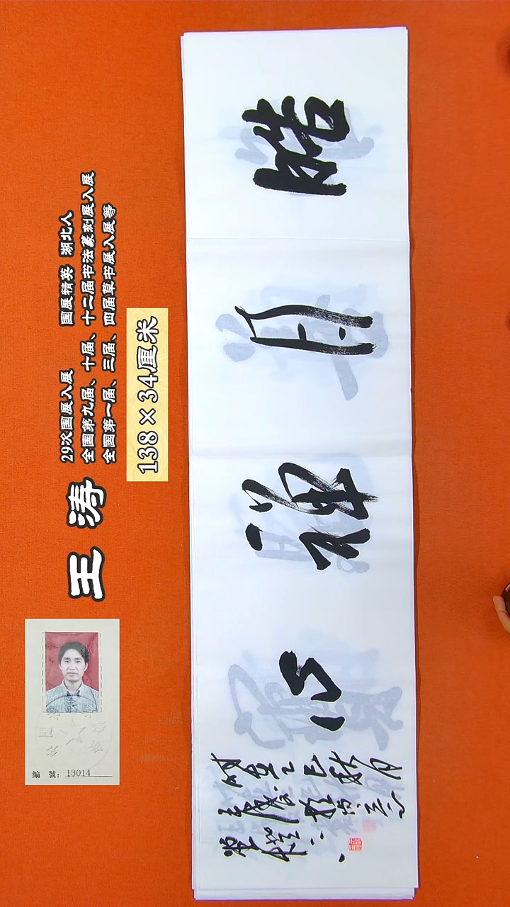 书法217X王涛书法作品
