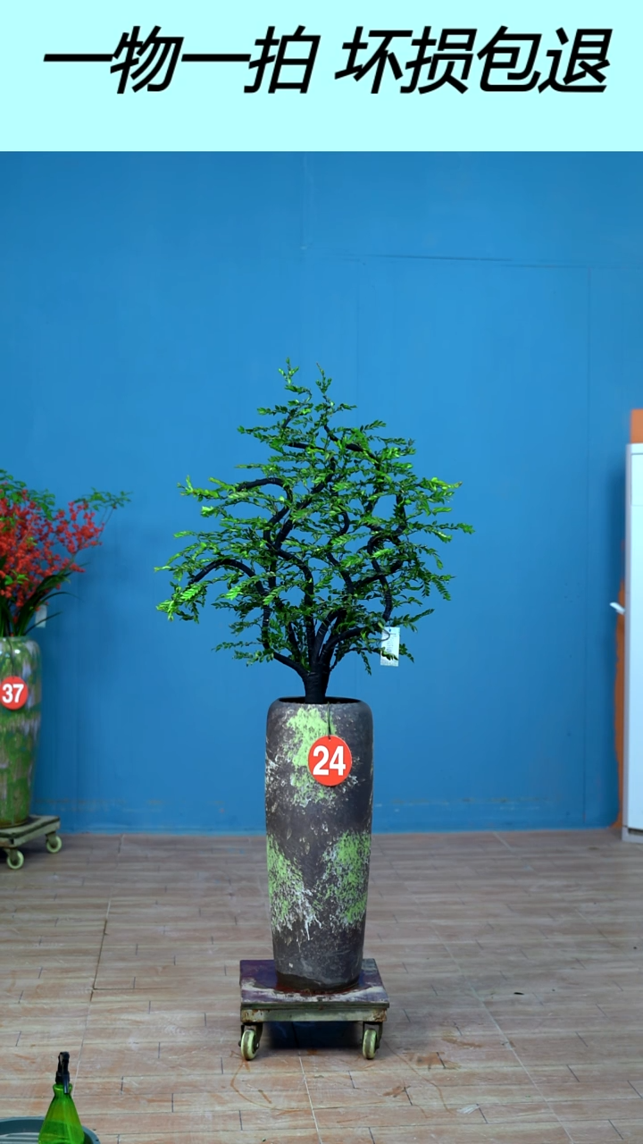 以实际为准广东小叶紫檀24号