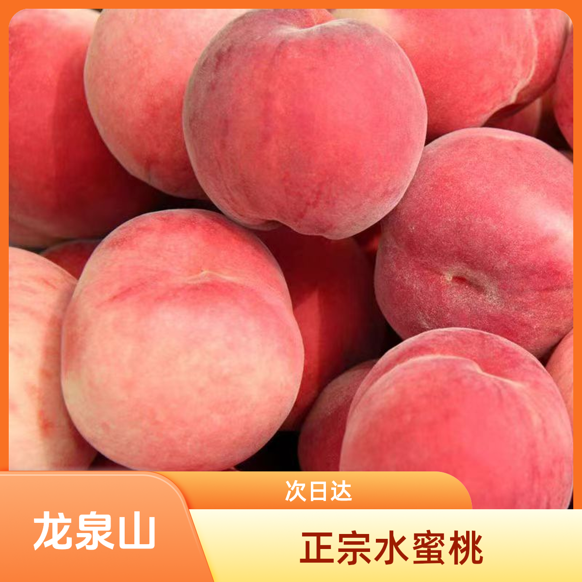 四川龙泉山早甜露水蜜桃脆桃子当季新鲜水果桃子四川省