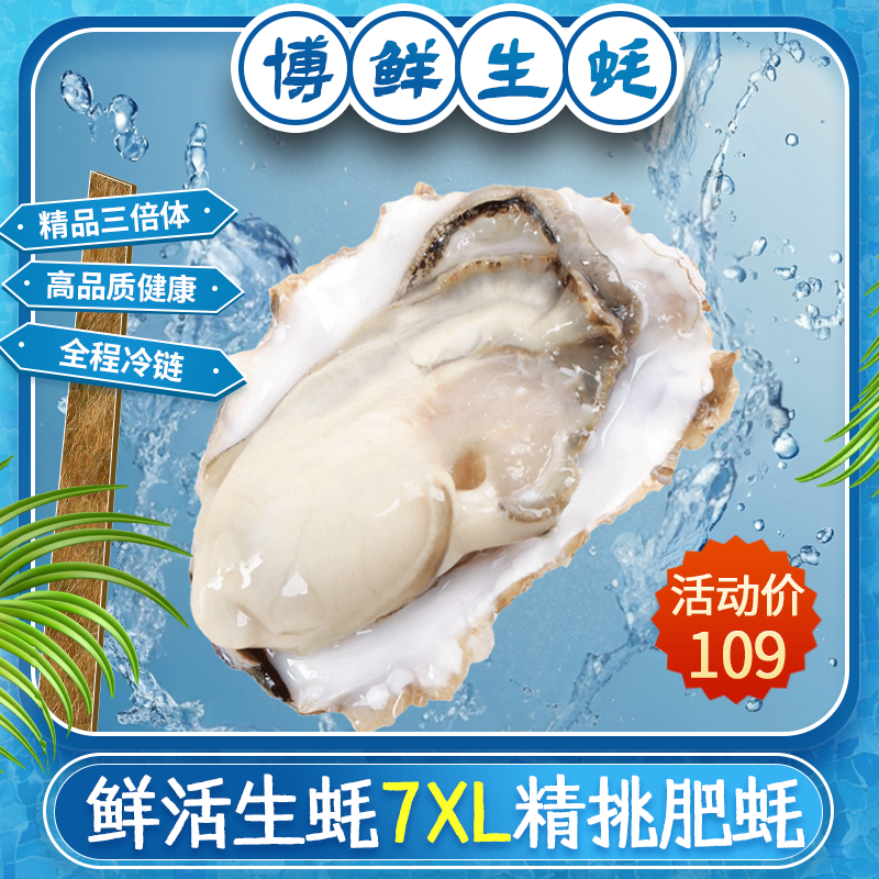 【买5送3斤】精品肥蚝金蚝新鲜生蚝鲜活海蛎子正宗原产地海鲜冷水蚝
