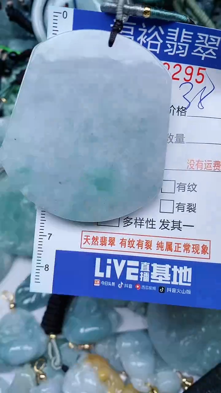 翡翠未镶嵌颈饰...0002295