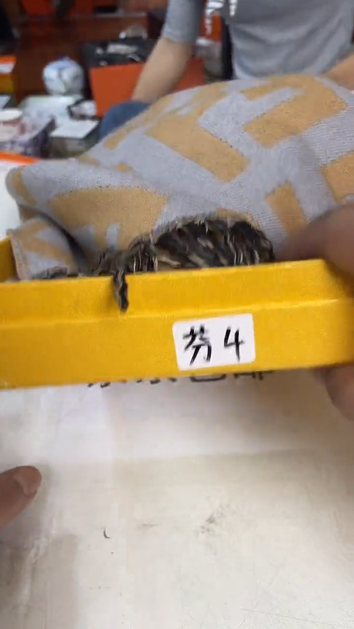 杯鸿辉家品牌瓷器，京东包邮！