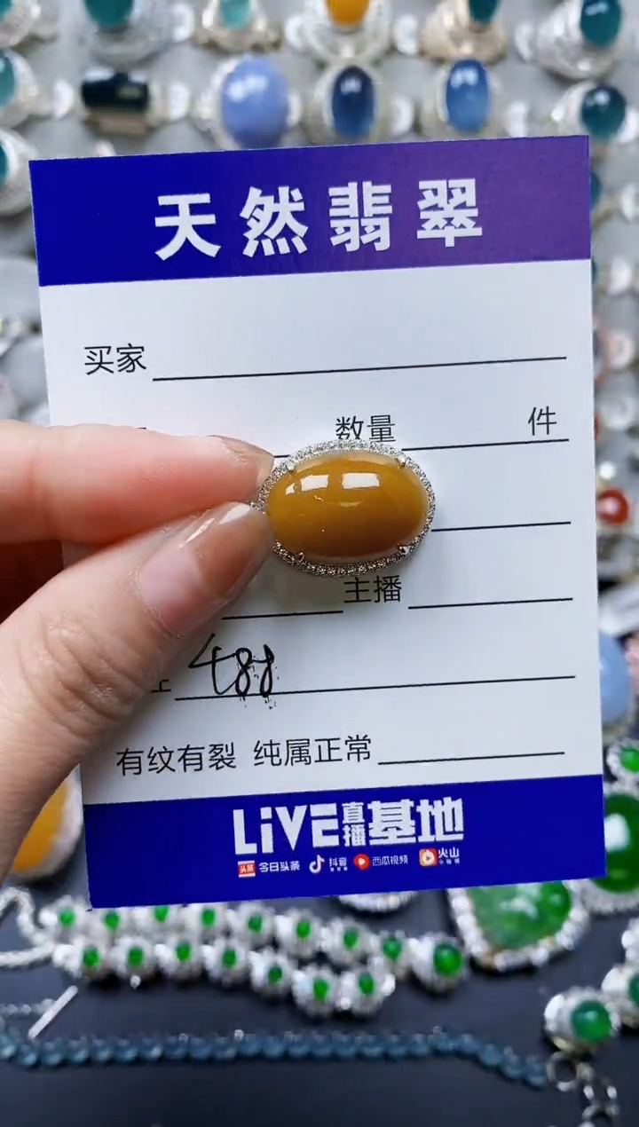 【闪购商品】翡翠颈饰银S925镶嵌0488