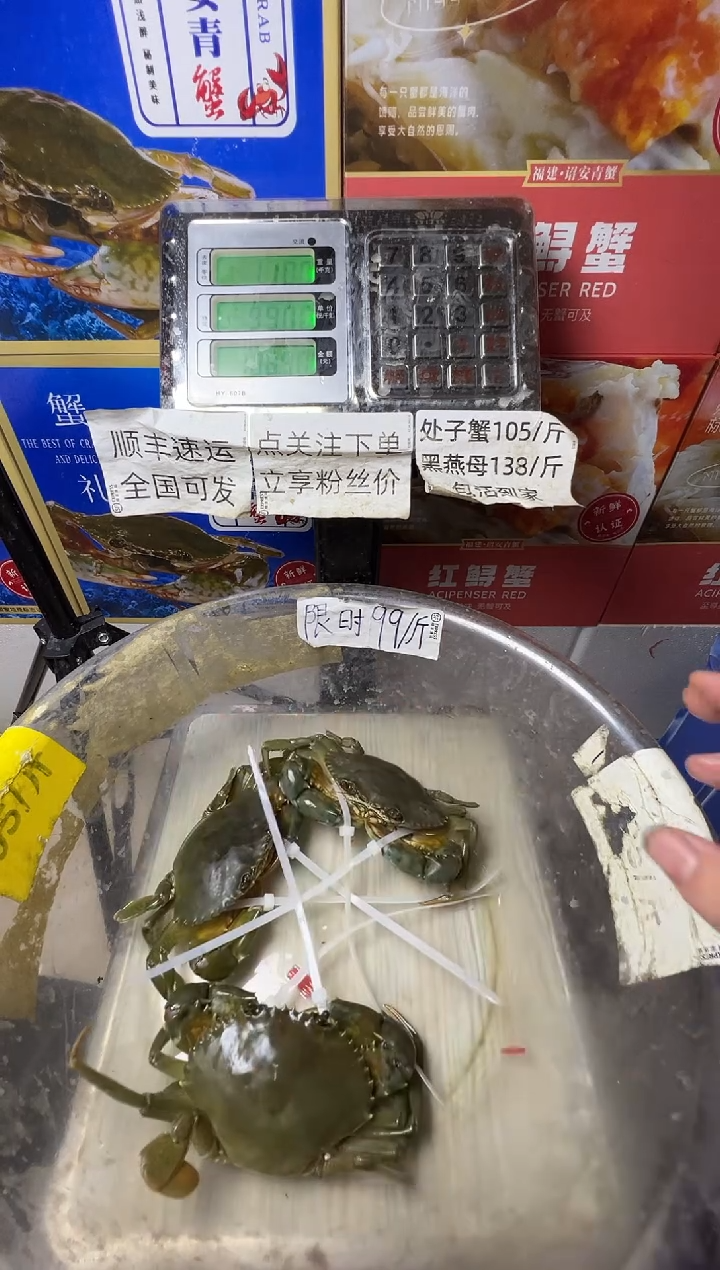 中国大陆福建漳州青蟹