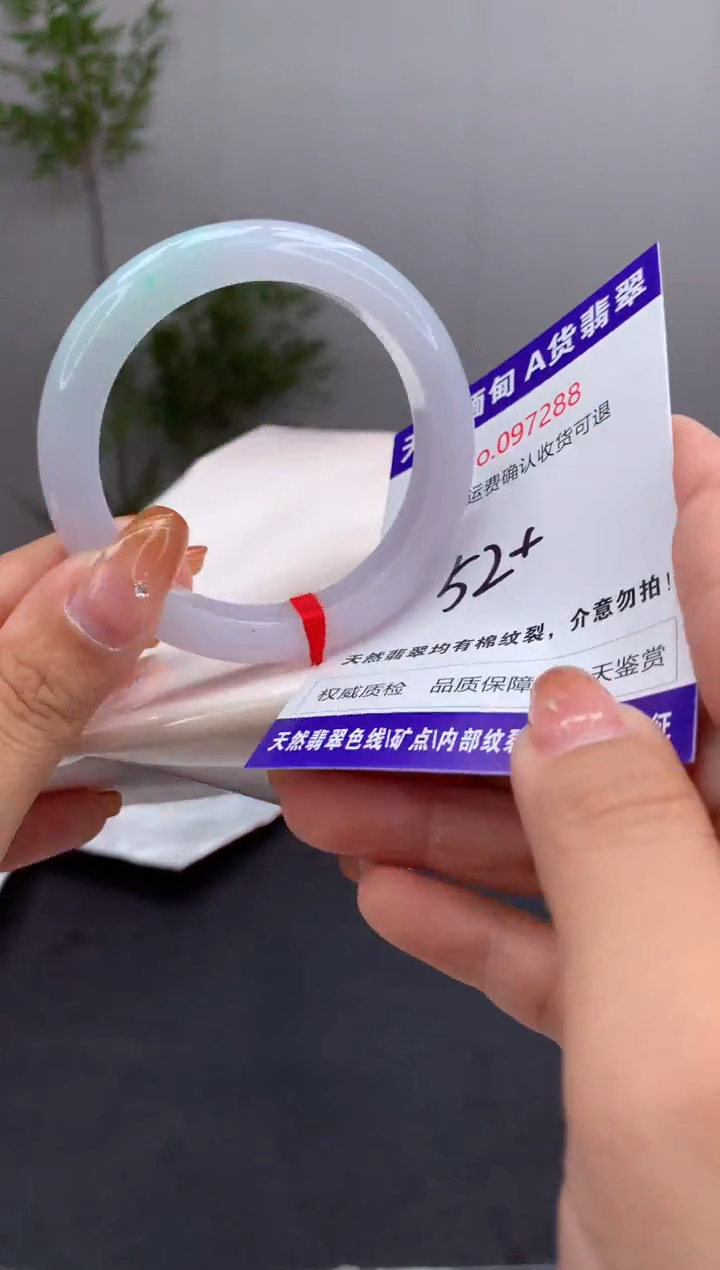 未镶嵌手镯翡翠天然缅甸A货翡翠