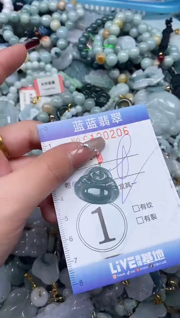 【闪购商品】翡翠颈饰未镶嵌闪购0120206