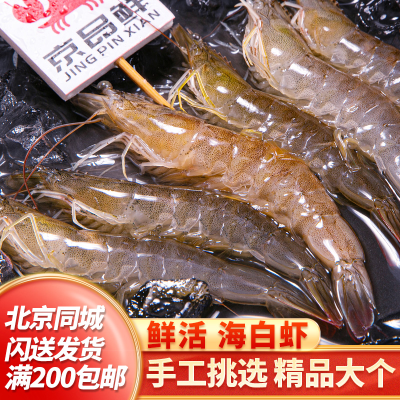 鲜活海白虾 大个新鲜