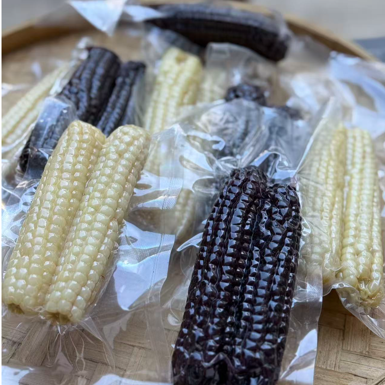 【陈博士高山五谷现收】拇指玉米