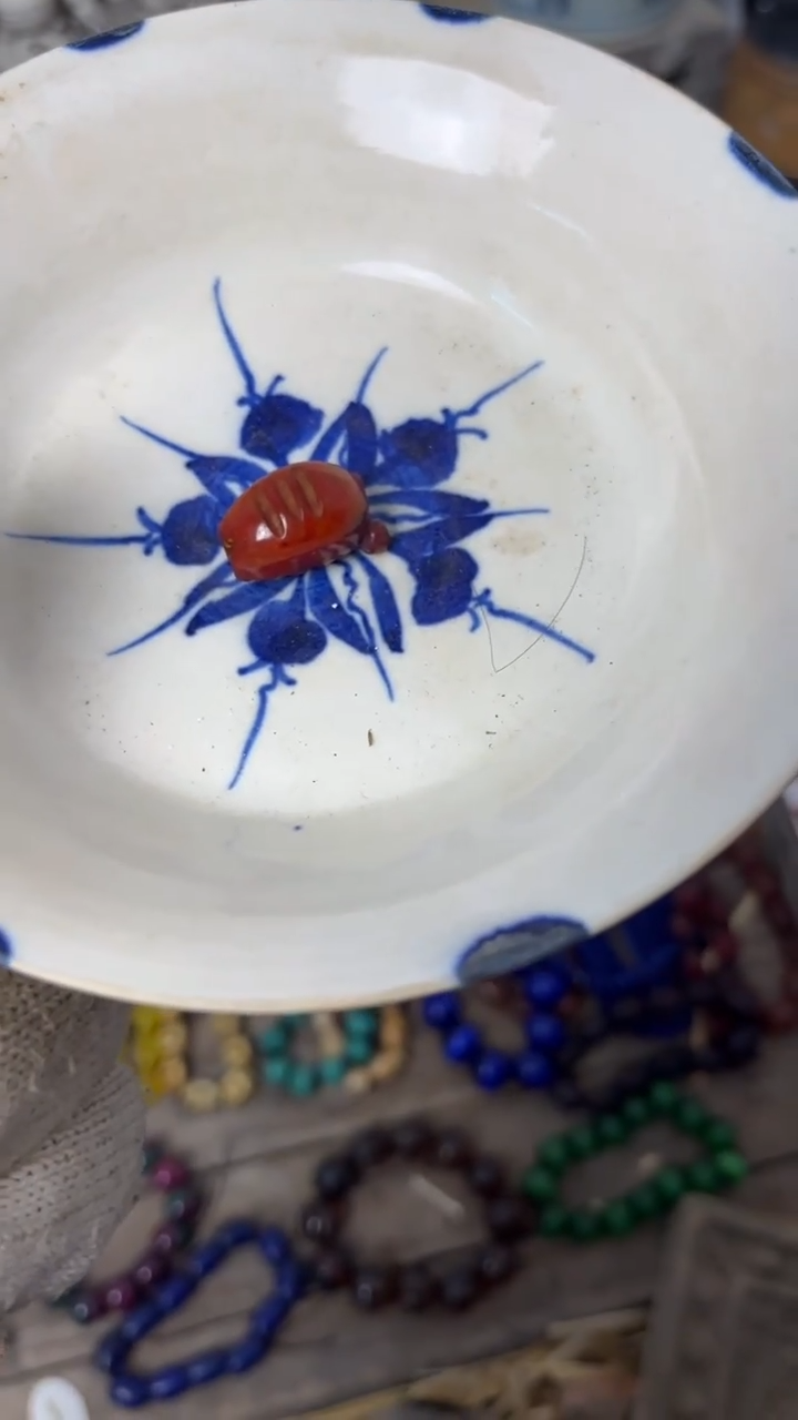 【闪购商品】手工，手绘，瓷器1