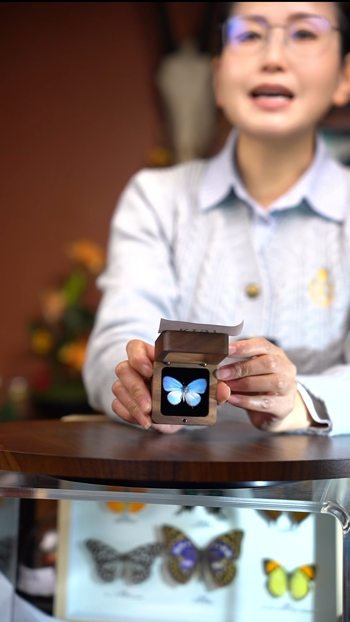 R197    优雅灰蝶  戒指盒款