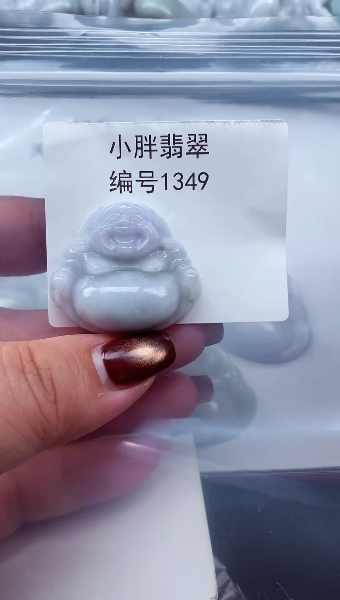 颈饰未镶嵌翡翠缅甸天然A货翡翠1349