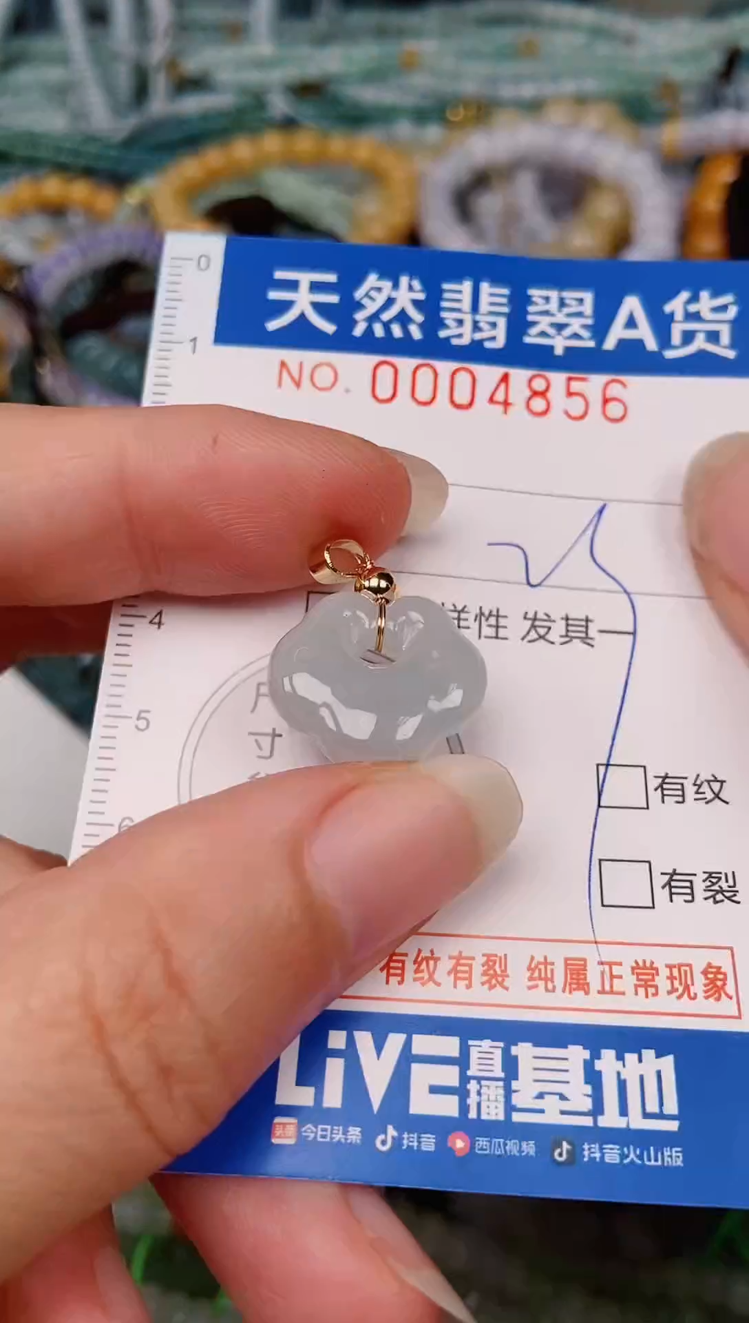 颈饰未镶嵌翡翠00004856