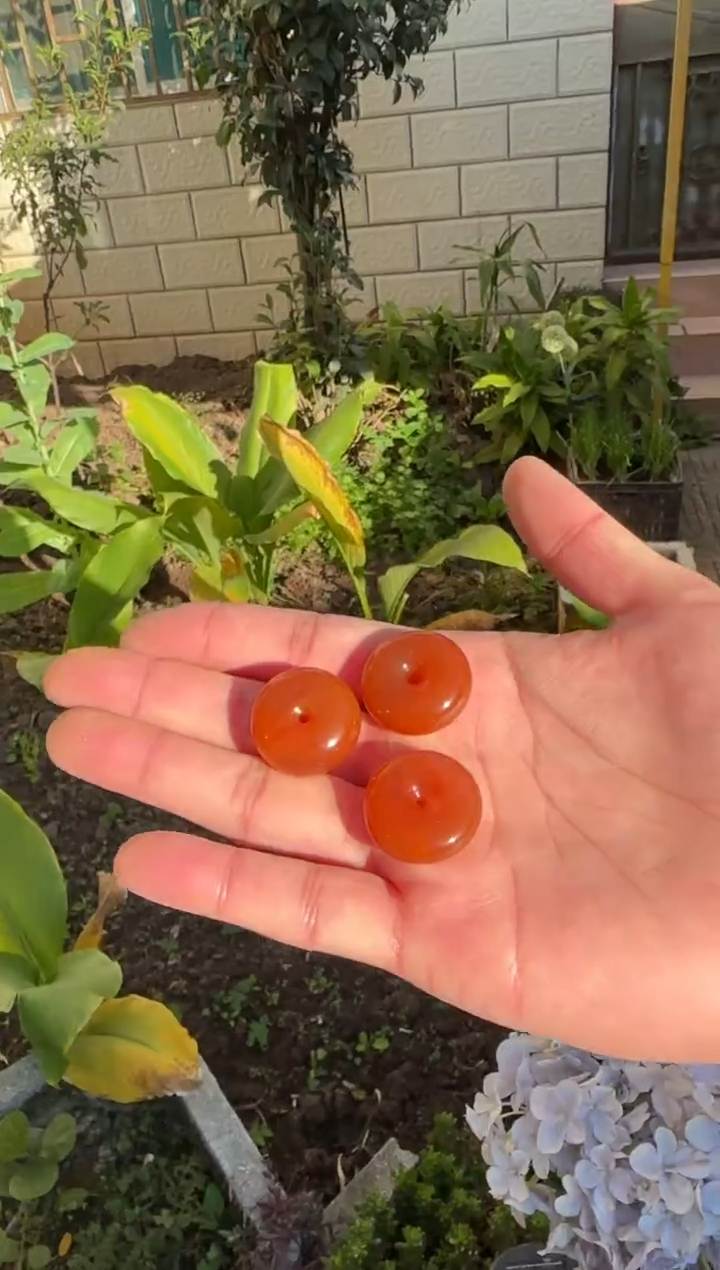 未镶嵌配饰南红玛瑙原矿无优化平安扣多样发一颗不保无裂无纹w