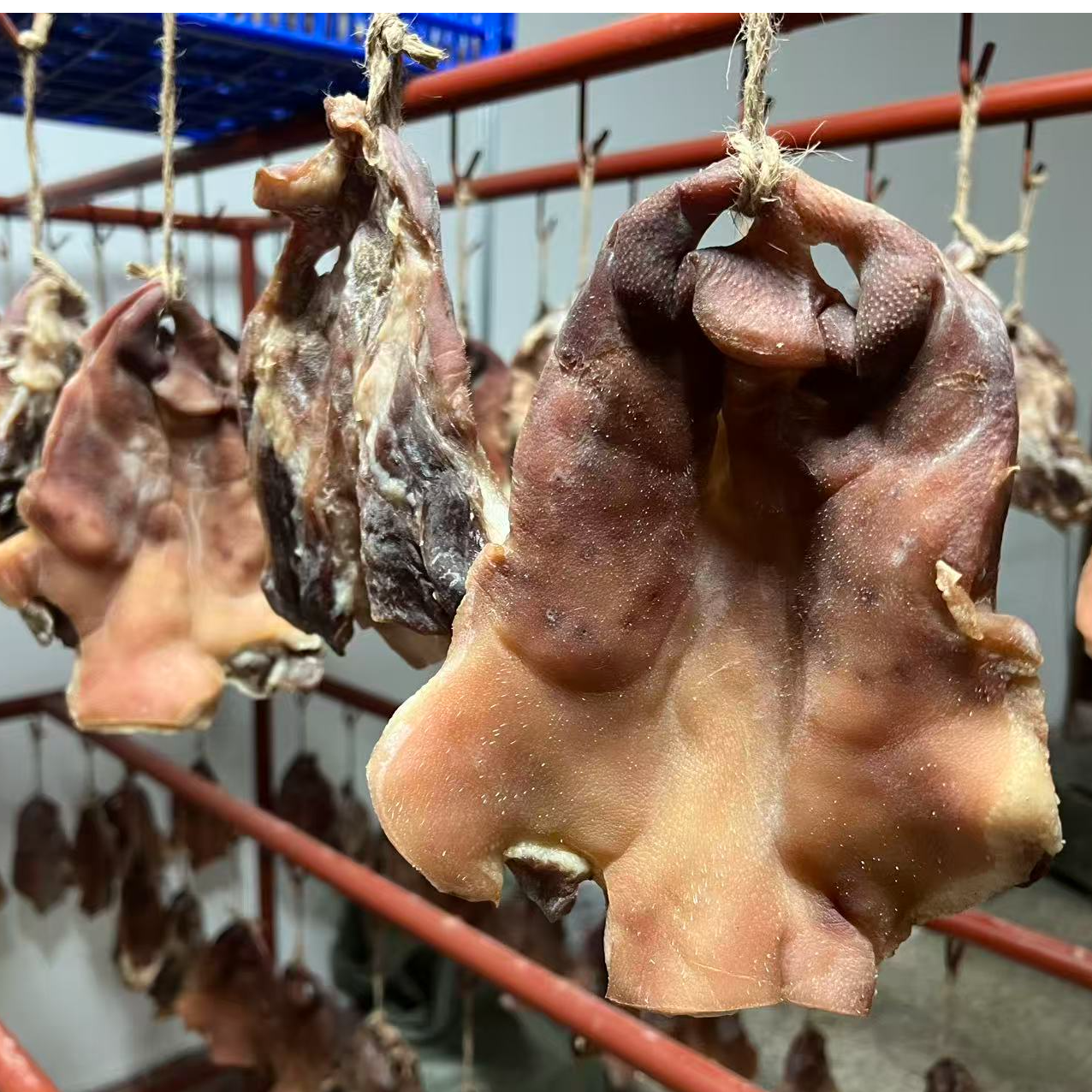 盐城步凤特产风干咸猪嘴自然风干咸猪拱嘴