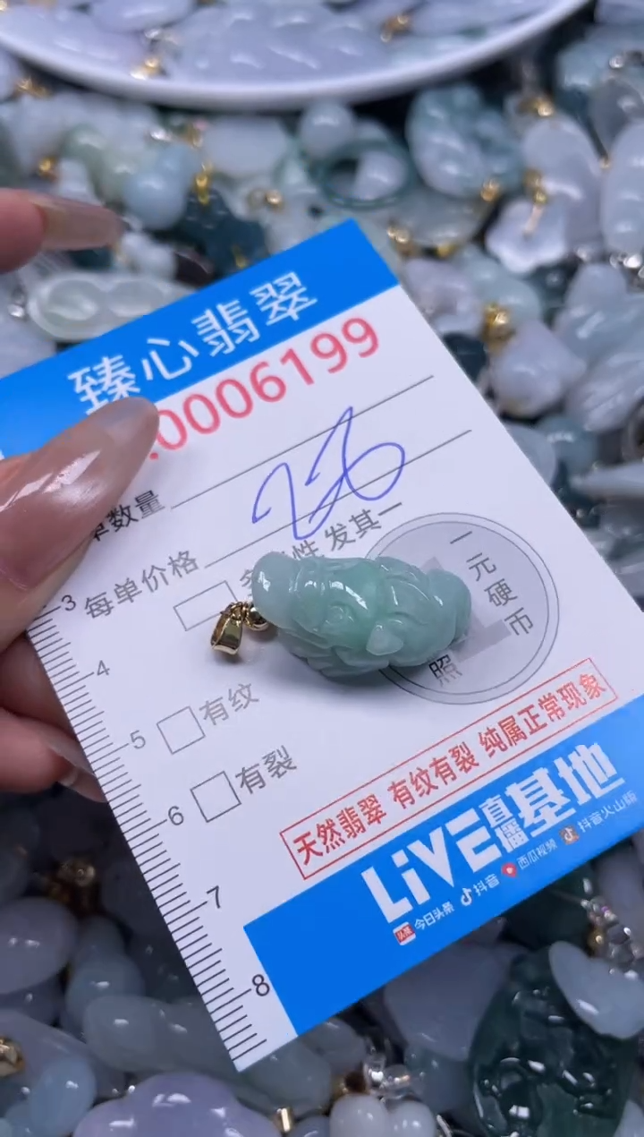 颈饰未镶嵌翡翠6199