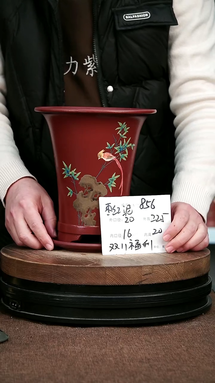 紫砂花盆花卉园艺856+Z