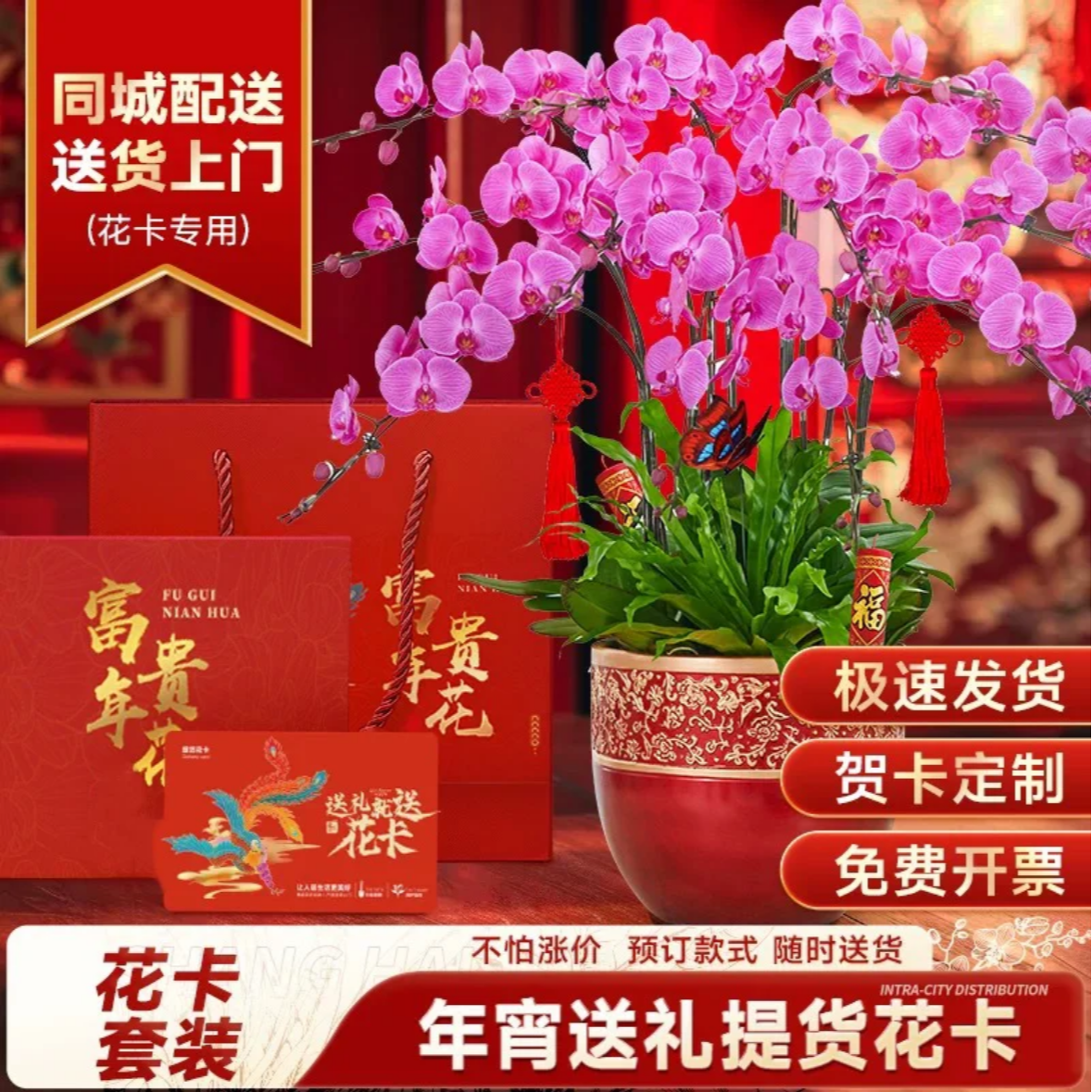 上海同城达精品蝴蝶兰送礼年宵花提货【花卡】室内精品观赏花卉