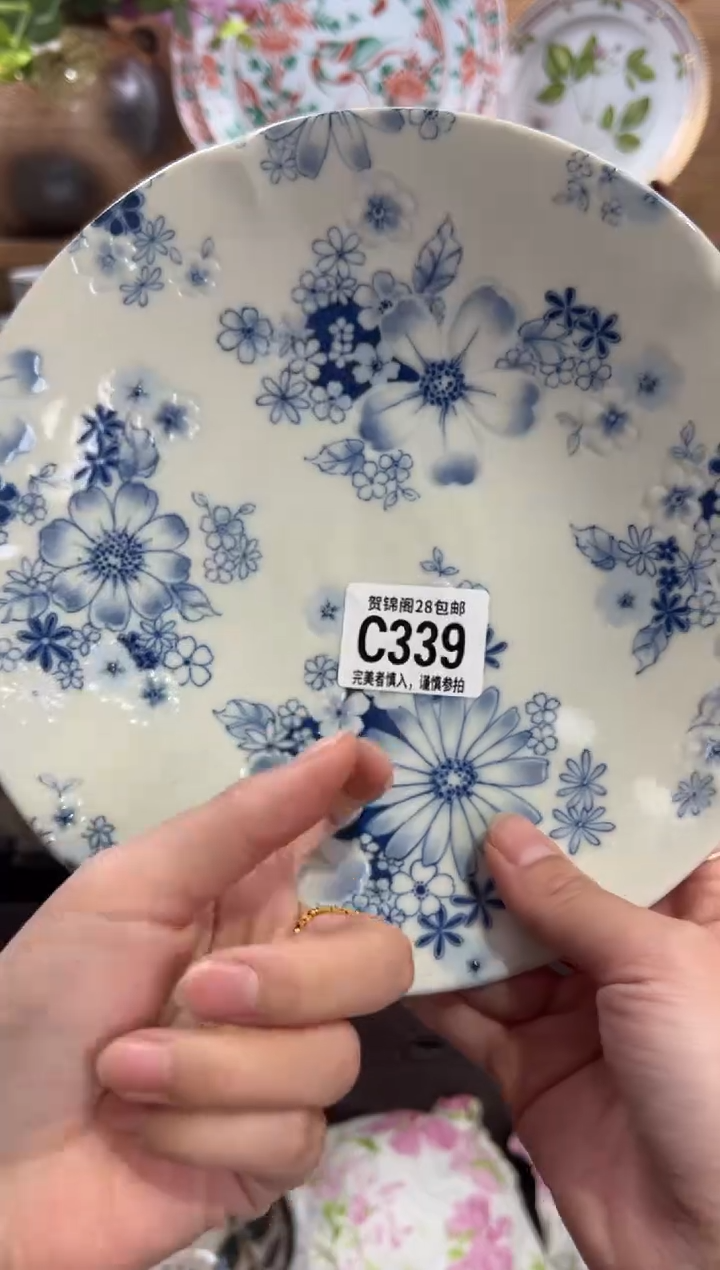 瓷片       C339