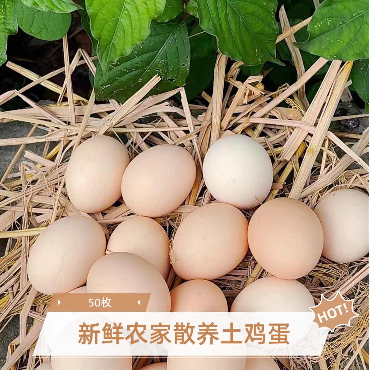 【50枚土鸡蛋】农家散养散放新鲜土鸡蛋谷物喂养现捡现发破损包赔
