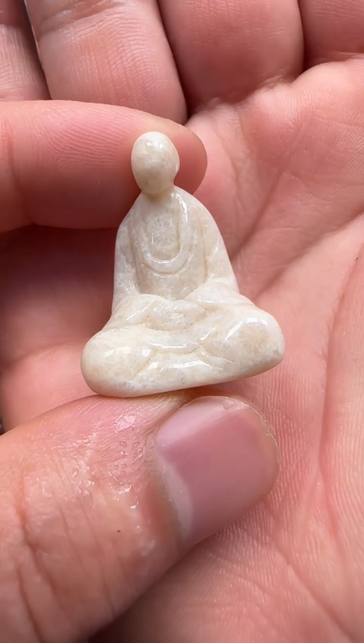 【闪购商品】硅化珊瑚（珊瑚玉）颈饰未镶嵌530