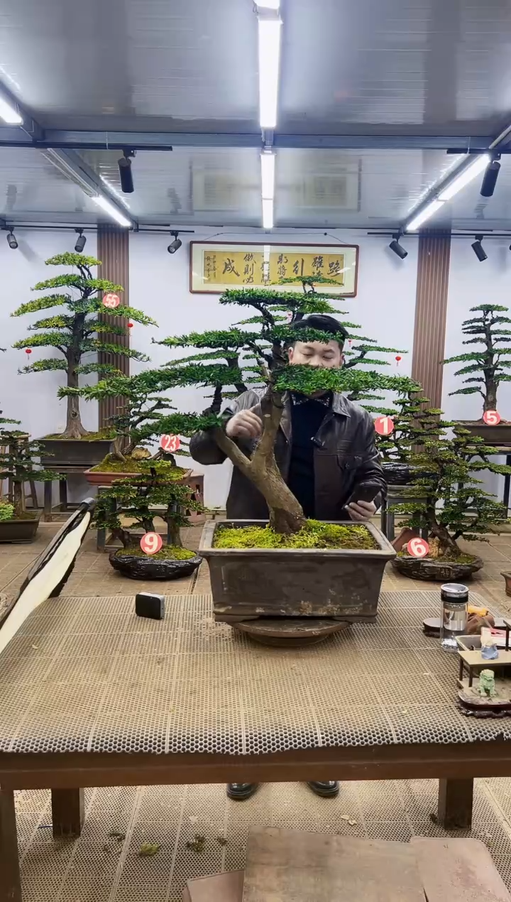 【闪购商品】000000000