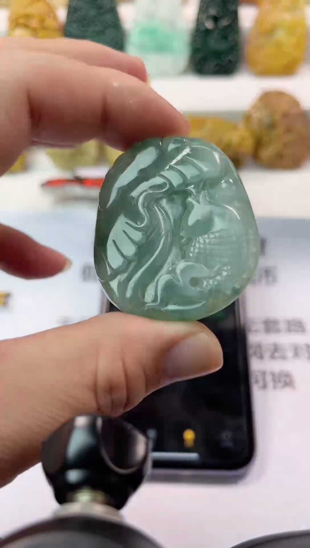 【闪购商品】翡翠颈饰未镶嵌随型