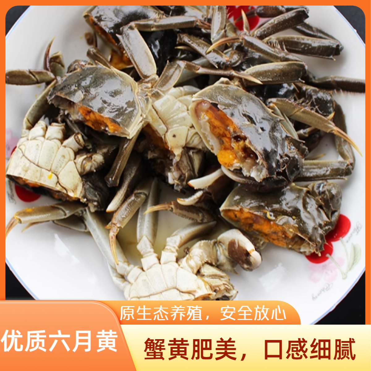 【活蟹】河蟹1.4-1.1两/只包黄保活 顺丰/京东次日达 不绑绳 （20只）