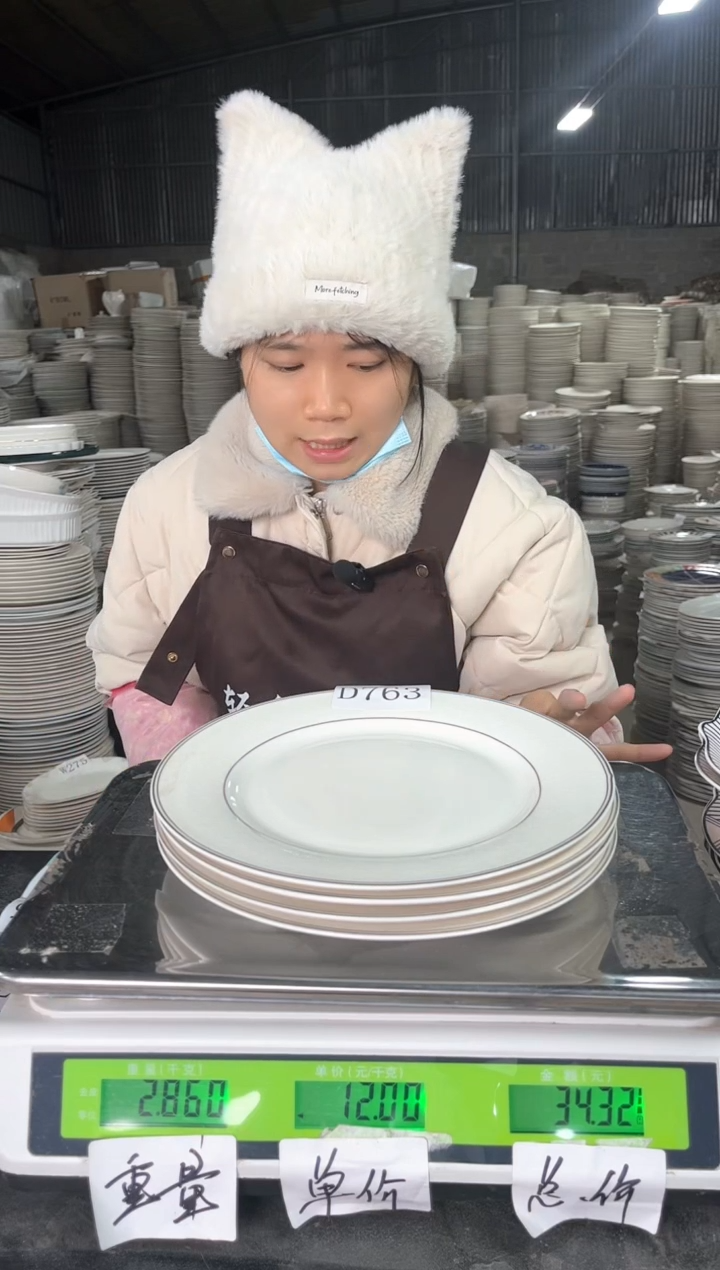 新骨瓷D763  9寸  4个