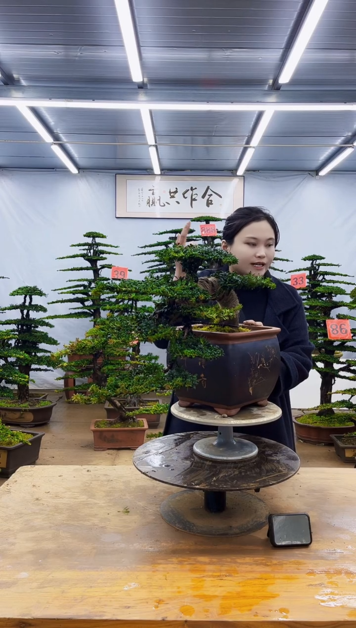 无花朵一物一拍，所见即所得