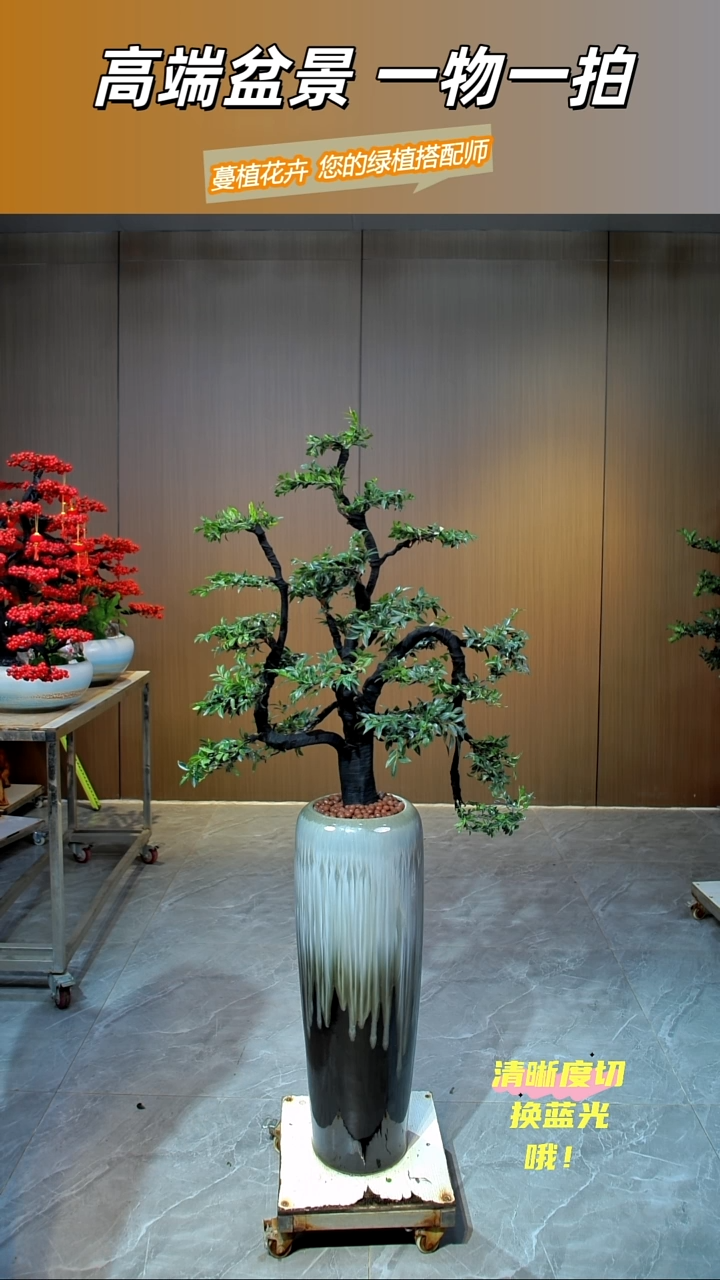 无花朵东****店小叶紫檀