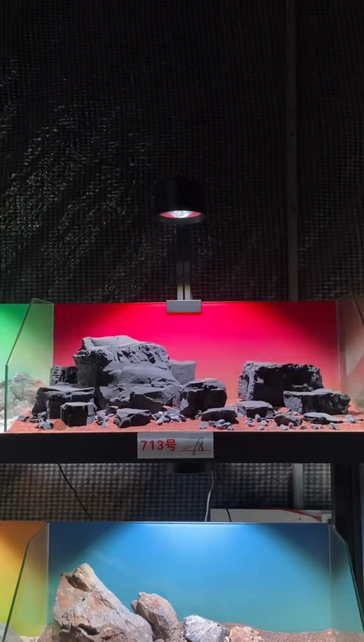 713号鱼缸造景（不含底砂）