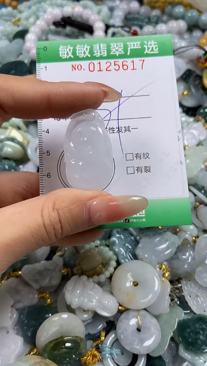 【闪购商品】翡翠颈饰未镶嵌闪购0125617