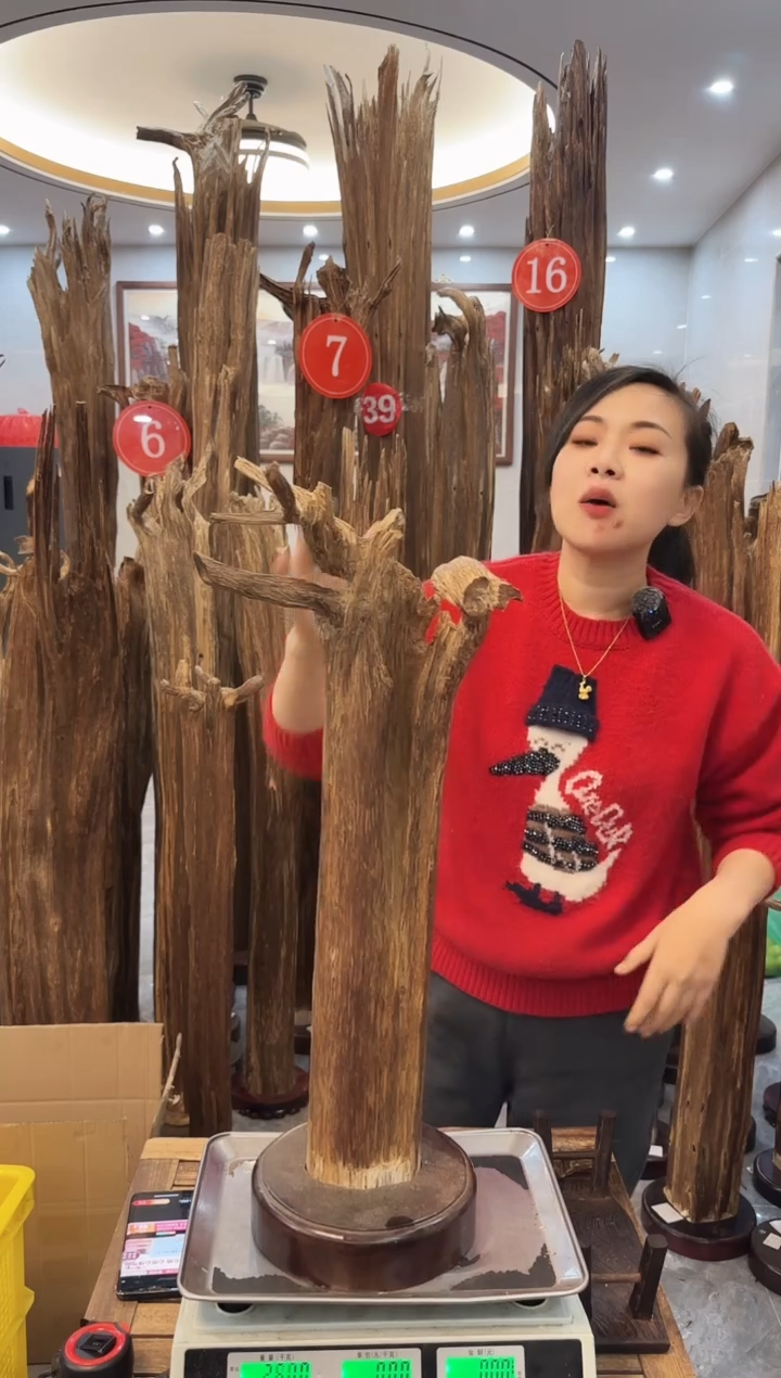 【闪购商品】沉香摆件沉香摆件31