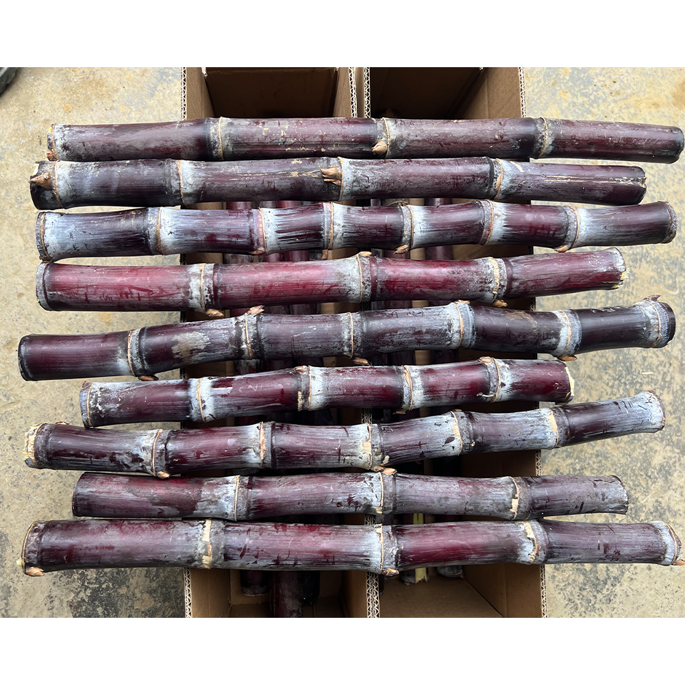 瑕疵短节裂口小条尝鲜