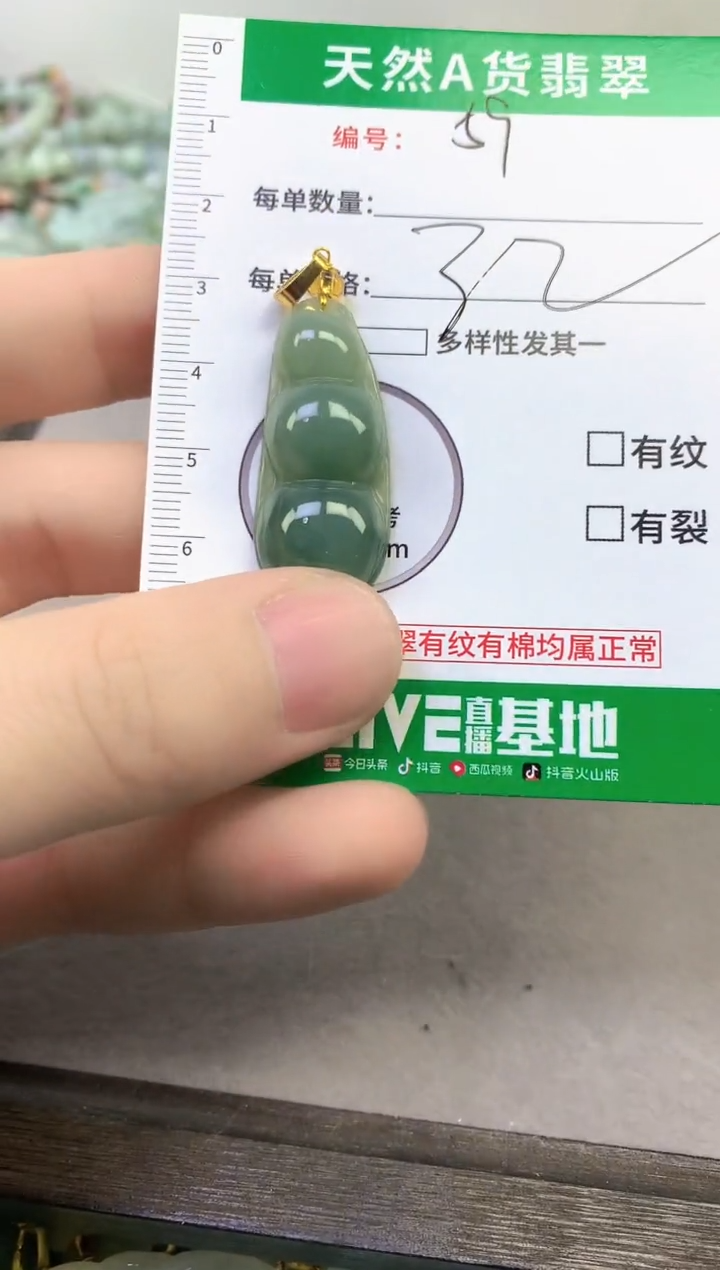 颈饰未镶嵌翡翠纯天然缅甸A货翡翠