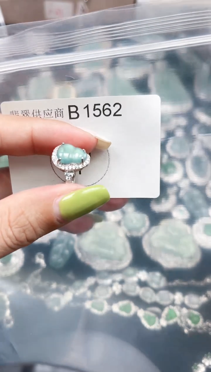 【闪购商品】翡翠颈饰未镶嵌赠皮绳1562